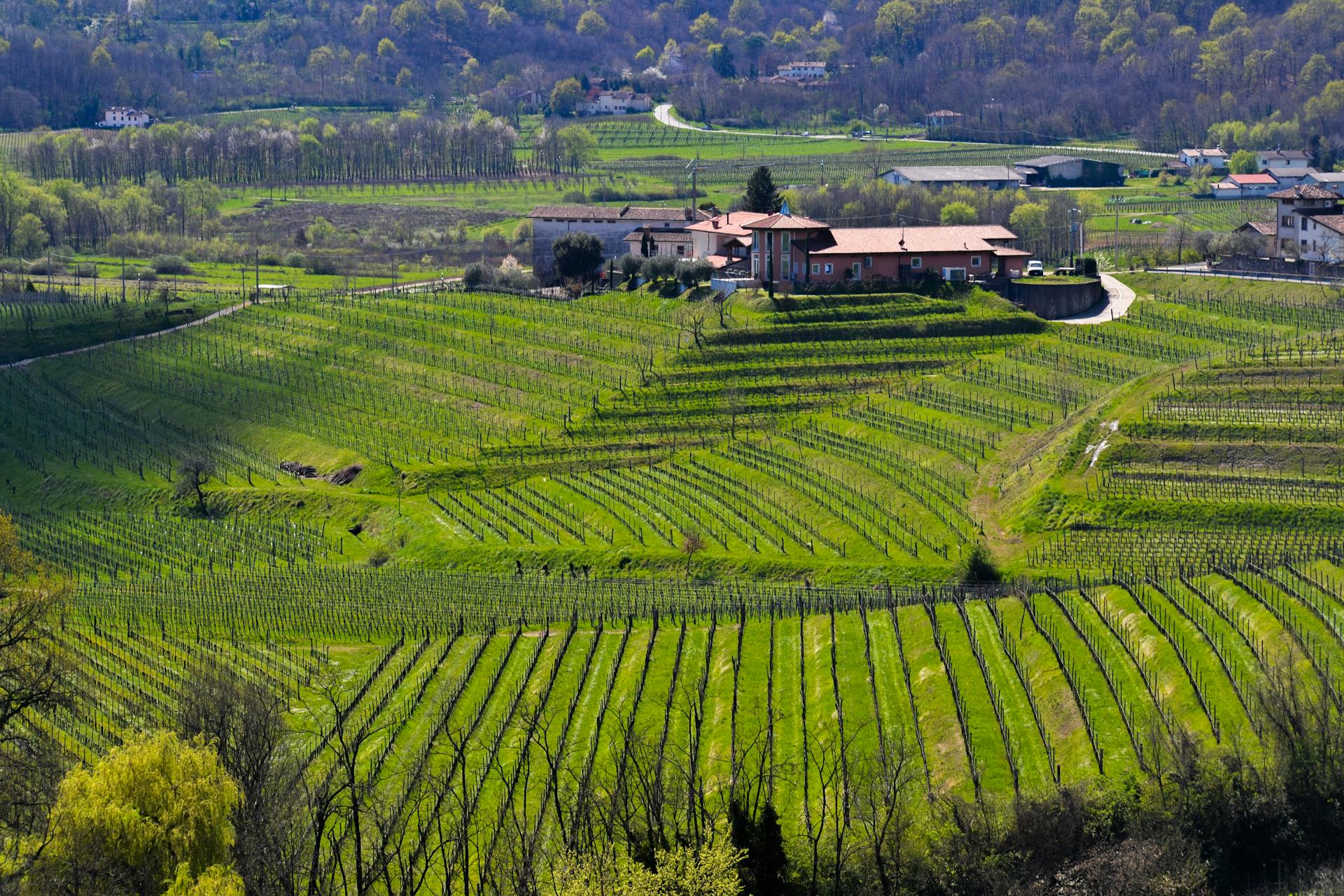 Degustazioni Franciacorta