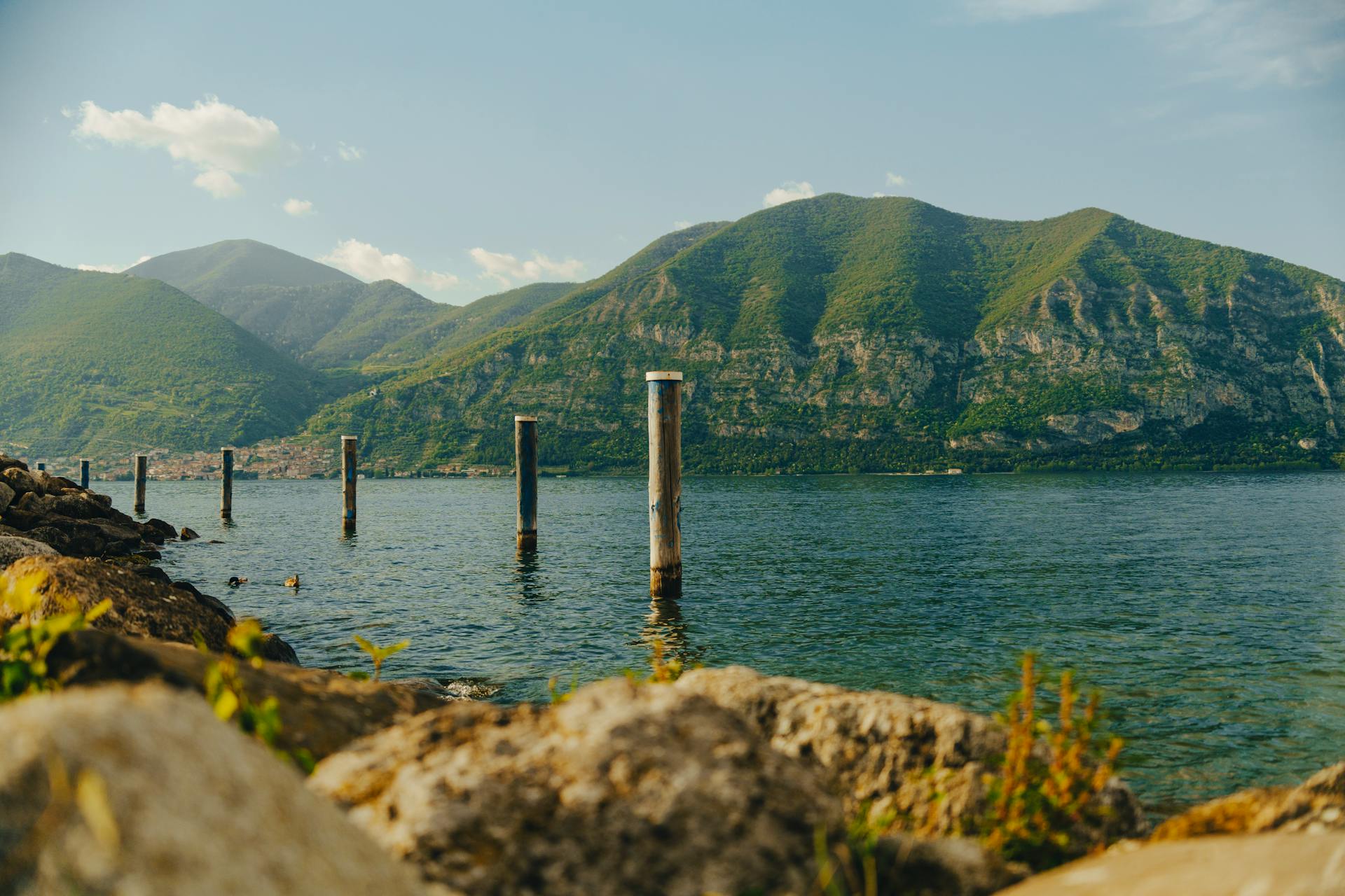 Panorama lago